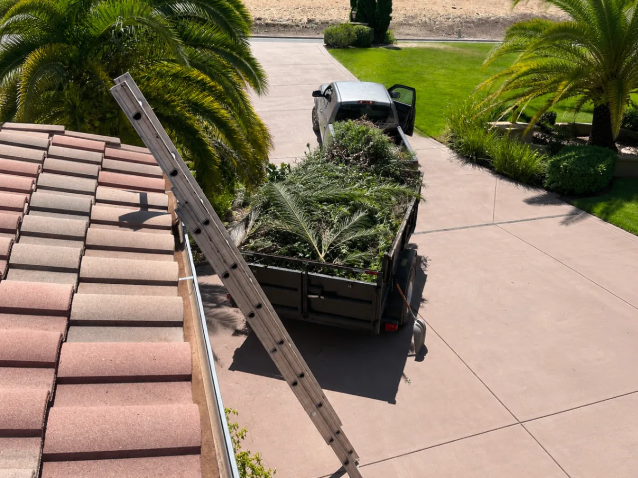 Trailer loaded with palm fronds and yard debris ready for hauling