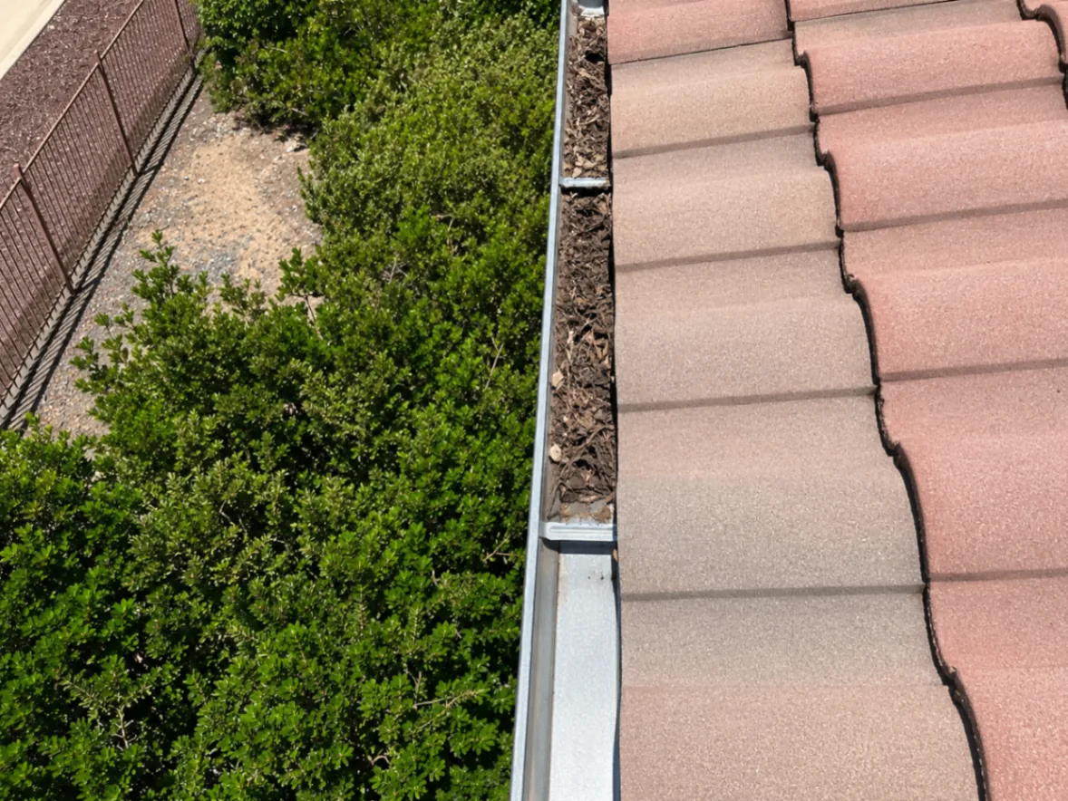 Close-up view of gutter debris collected along a roof edge
